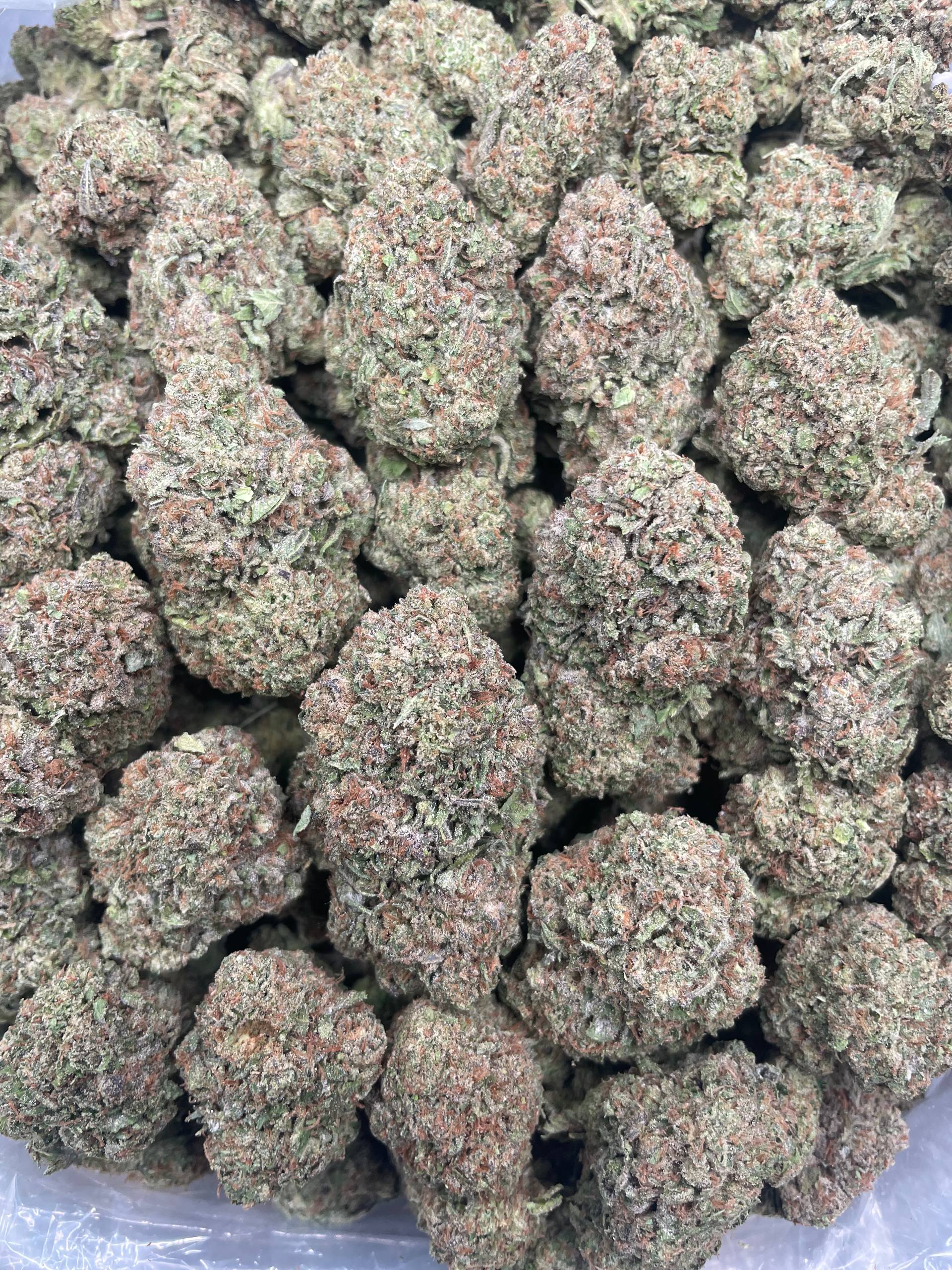 Bubblegum Z – 1 lb