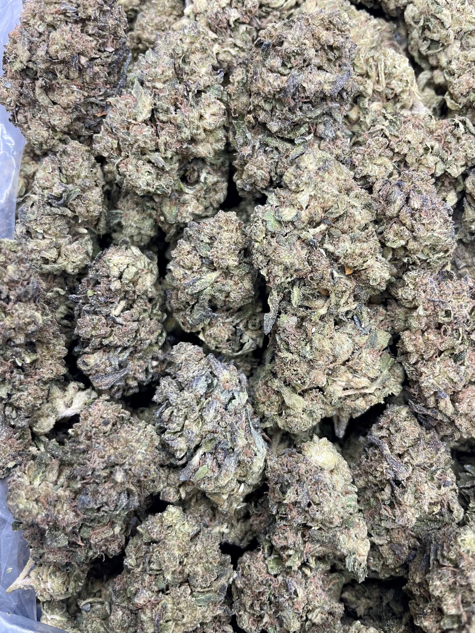 GSC – 1 lb