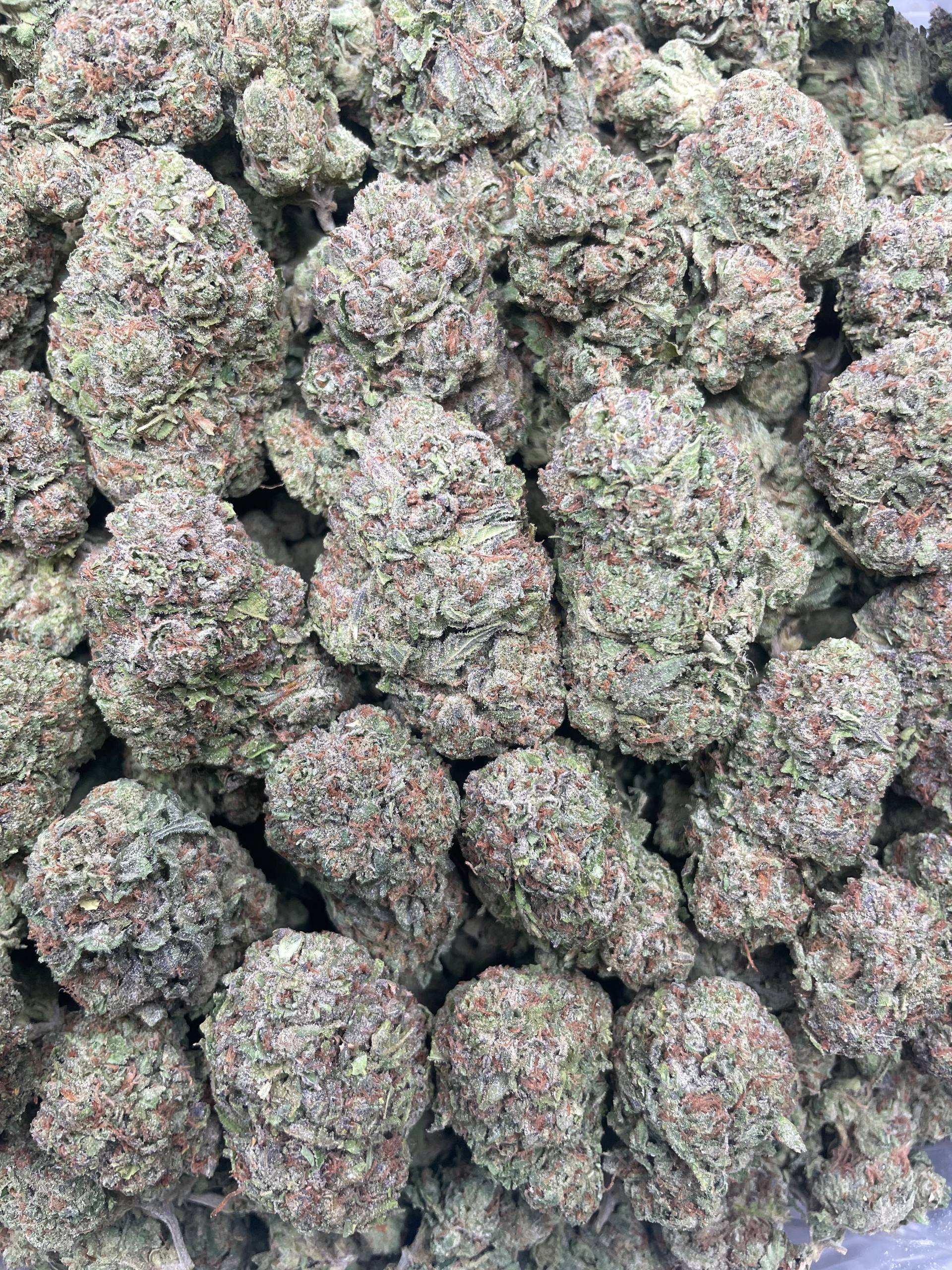 Gucci Cherriez – 1 lb