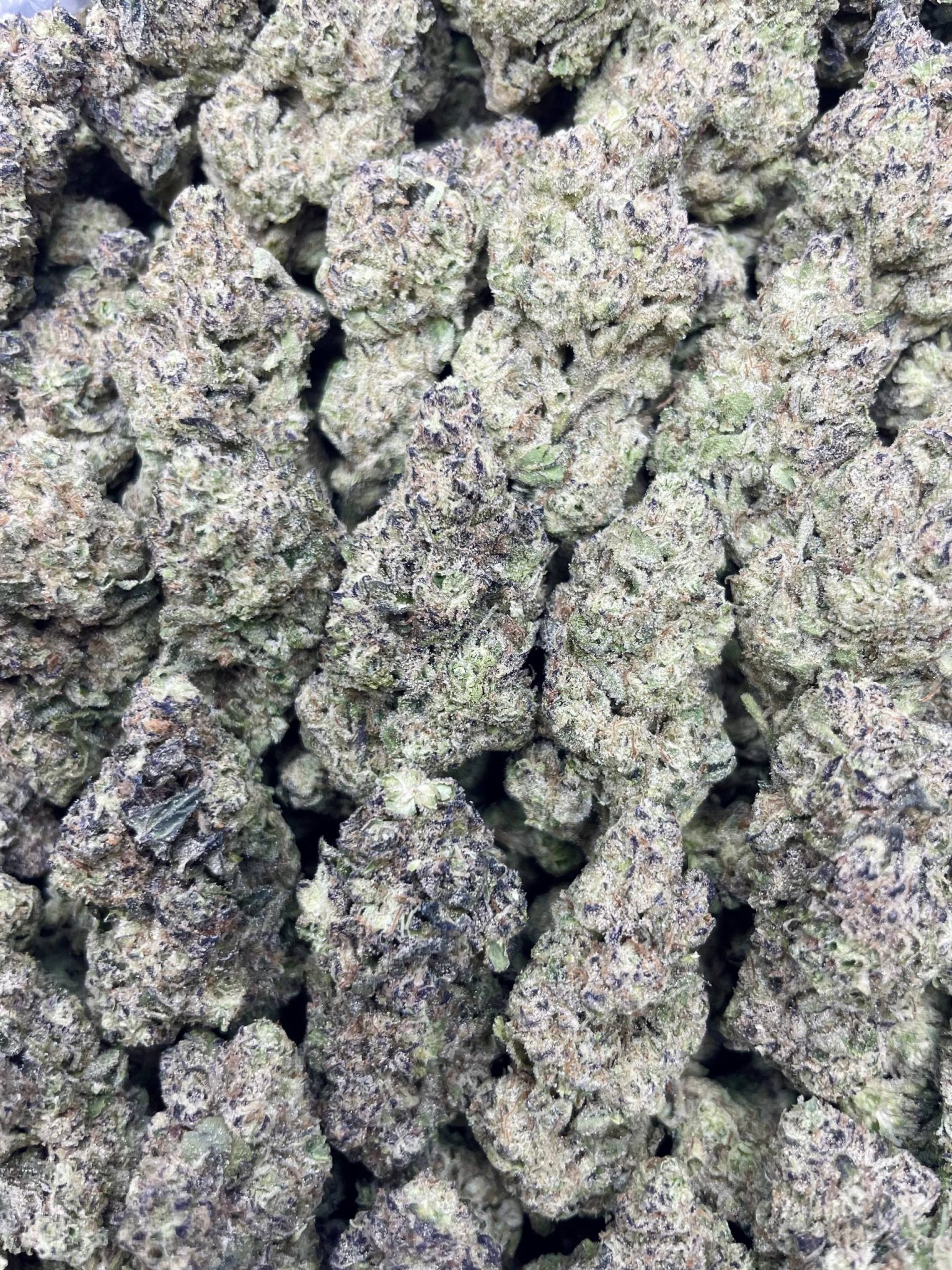 Gushmintz – 1 lb