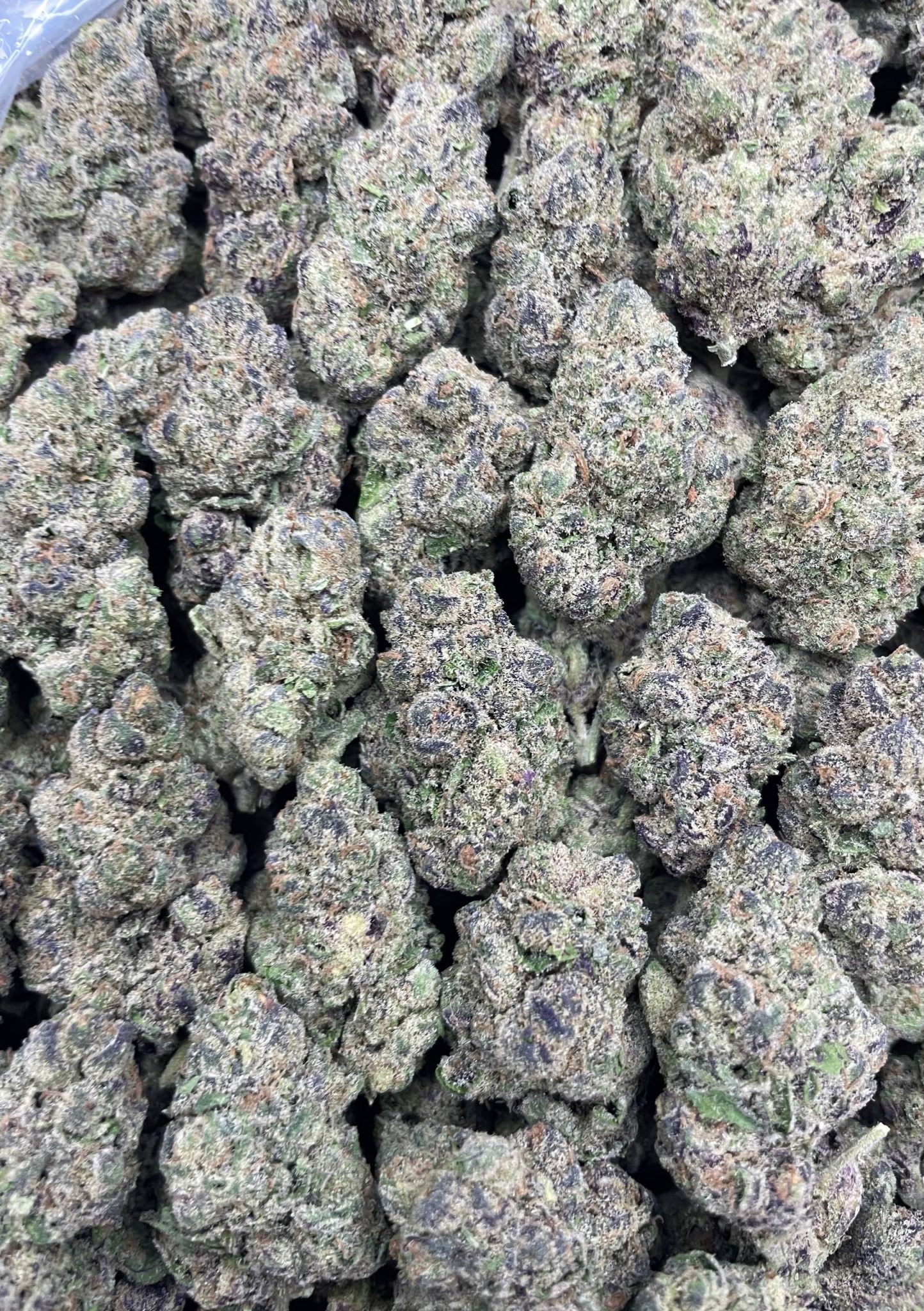 Rockets – 1 lb
