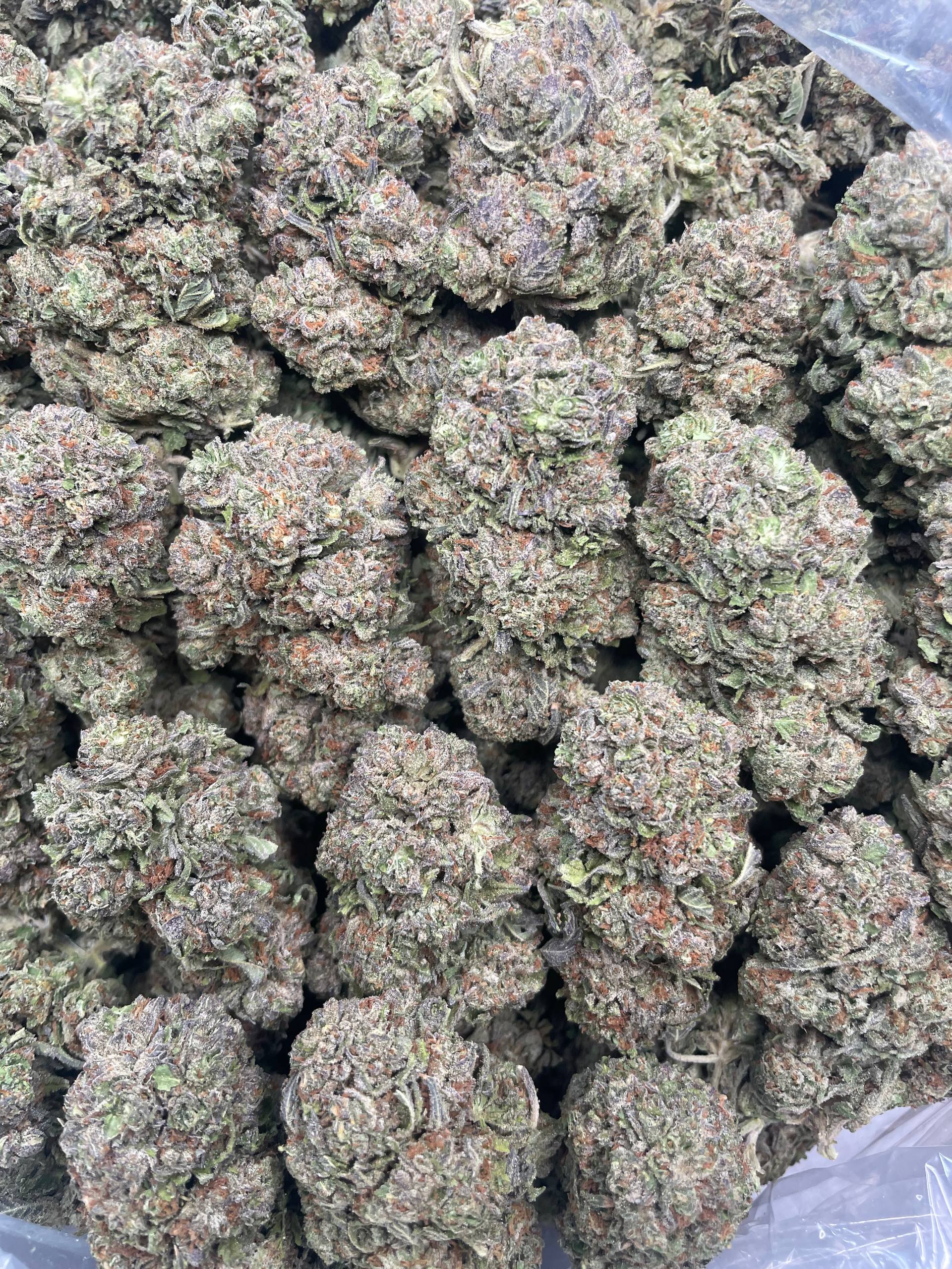 Sunset Runtz – 1 lb