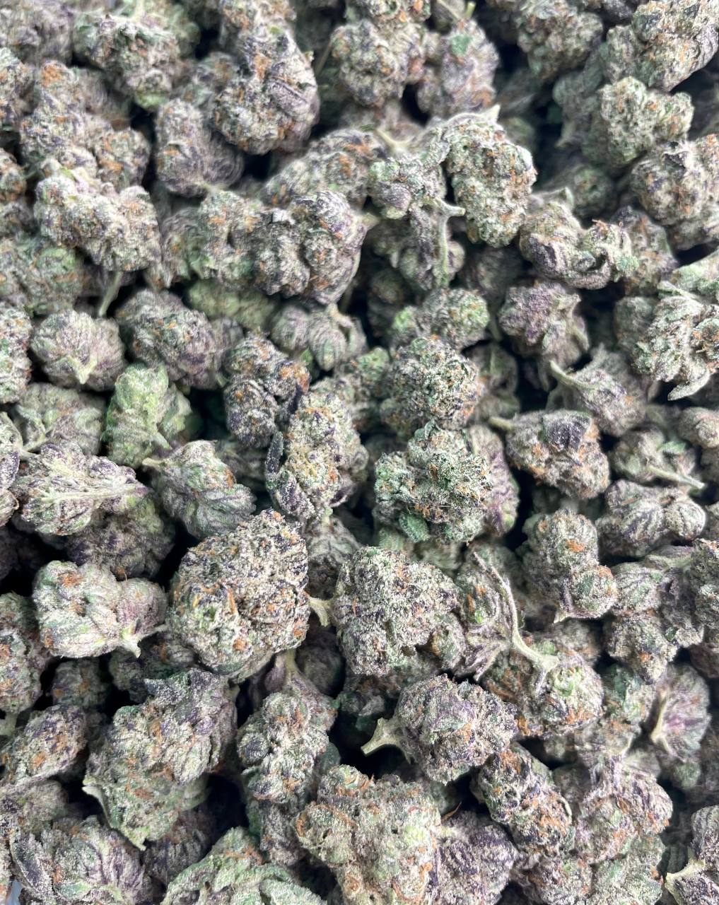 Black Ice – 1 lb