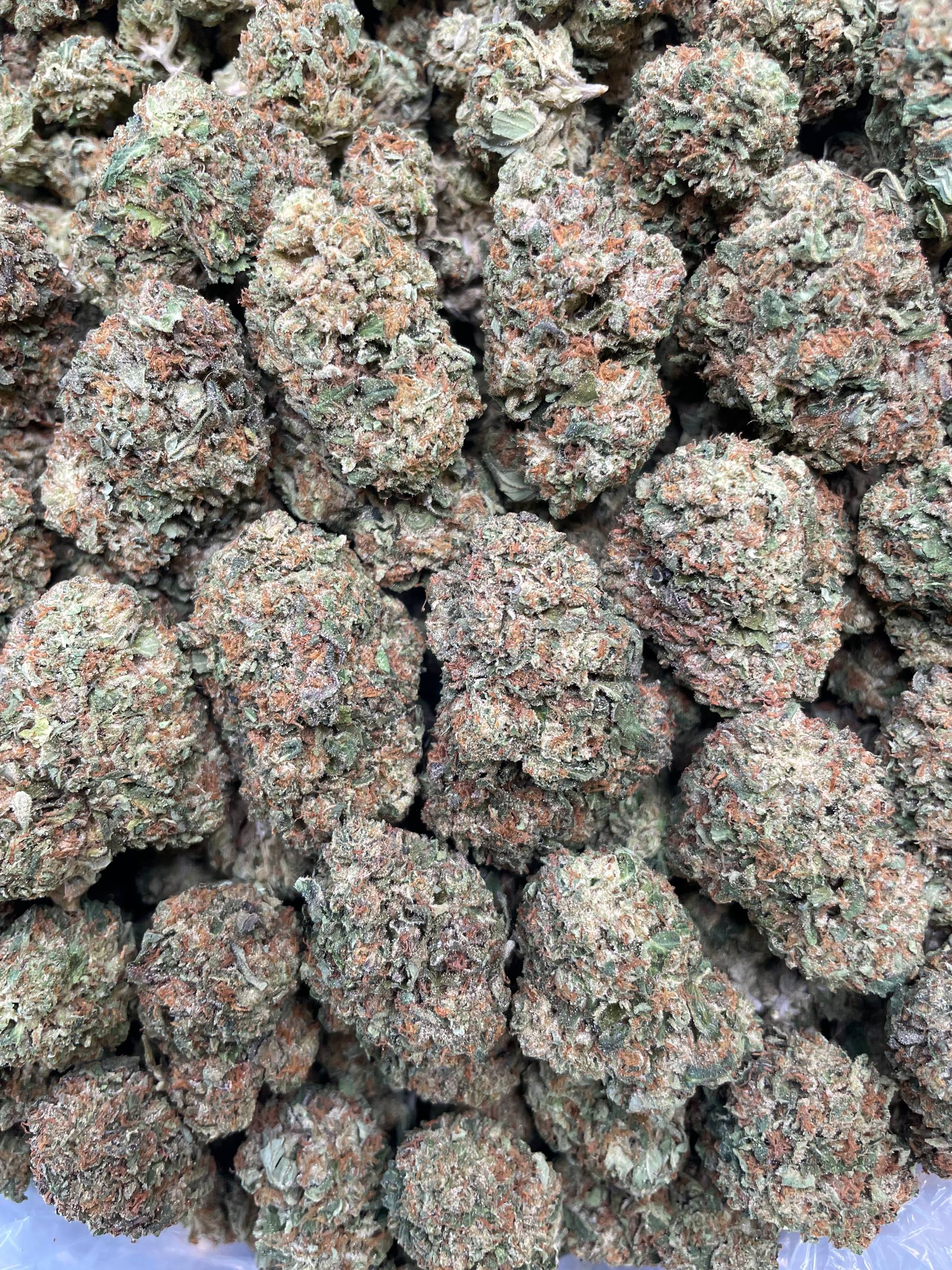 Blueberry Dum Dumz – 1 lb AAA