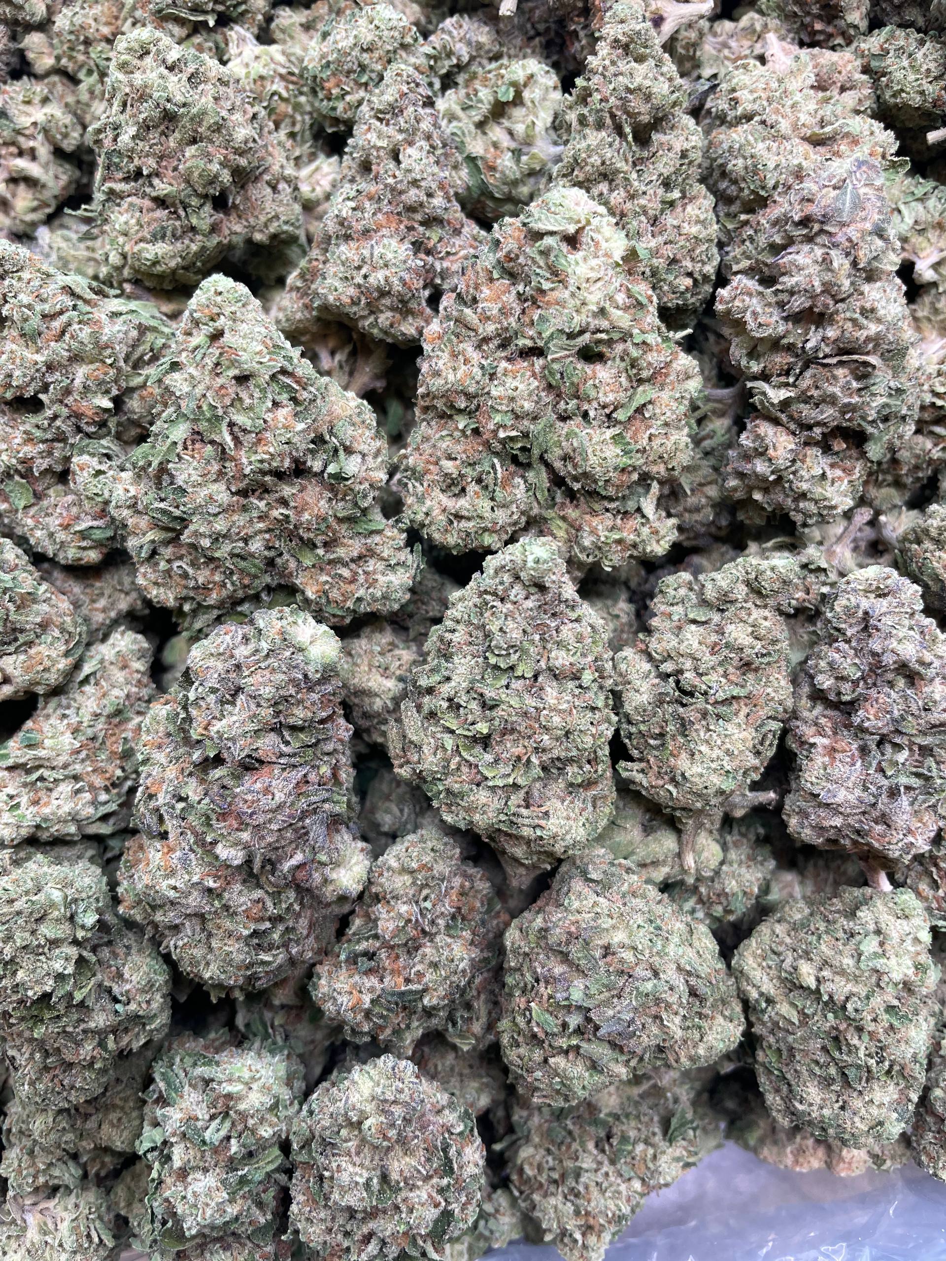 Gas Fumez – 1 lb