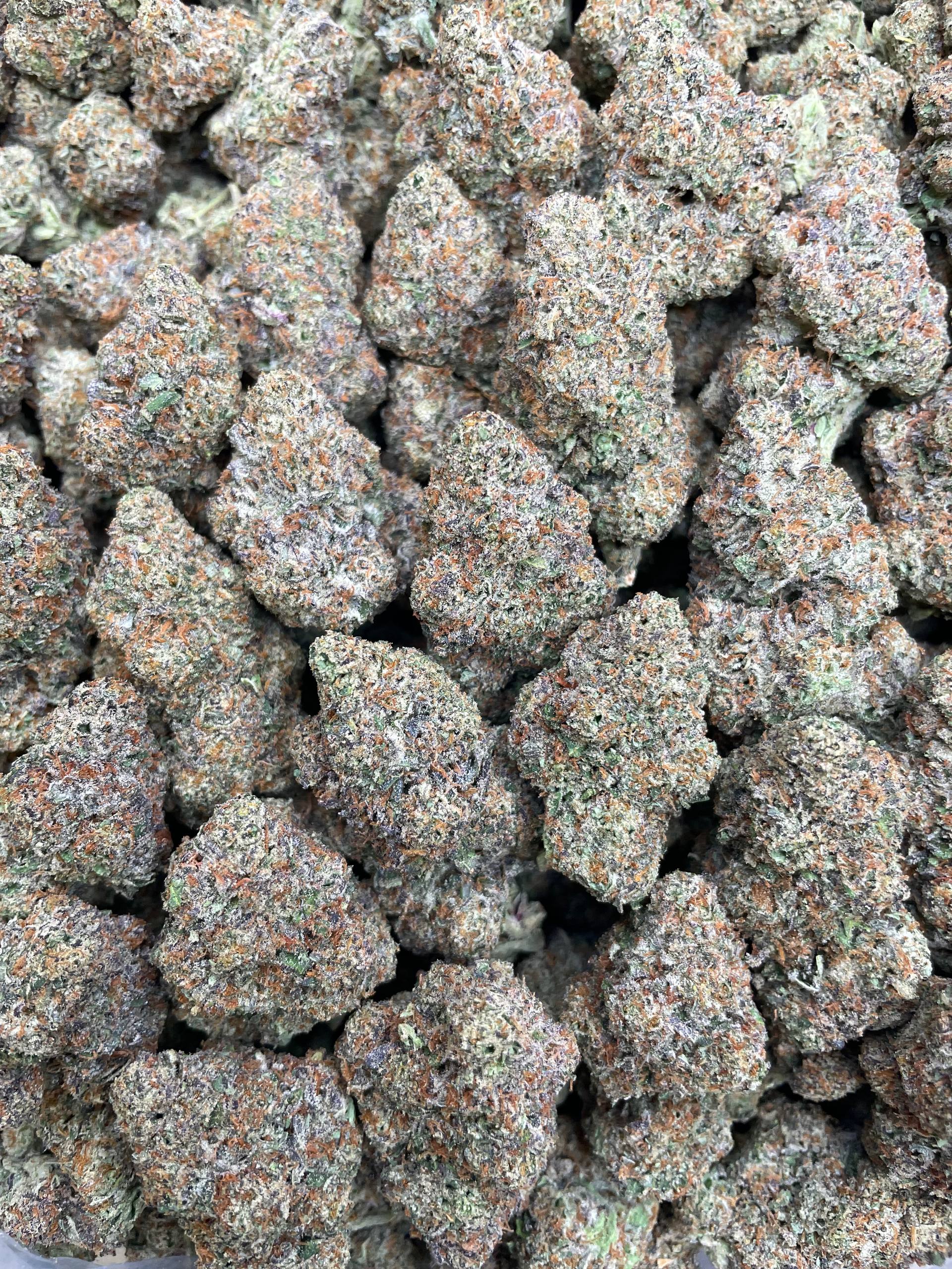 Gobstopperz AAA – 1 lb