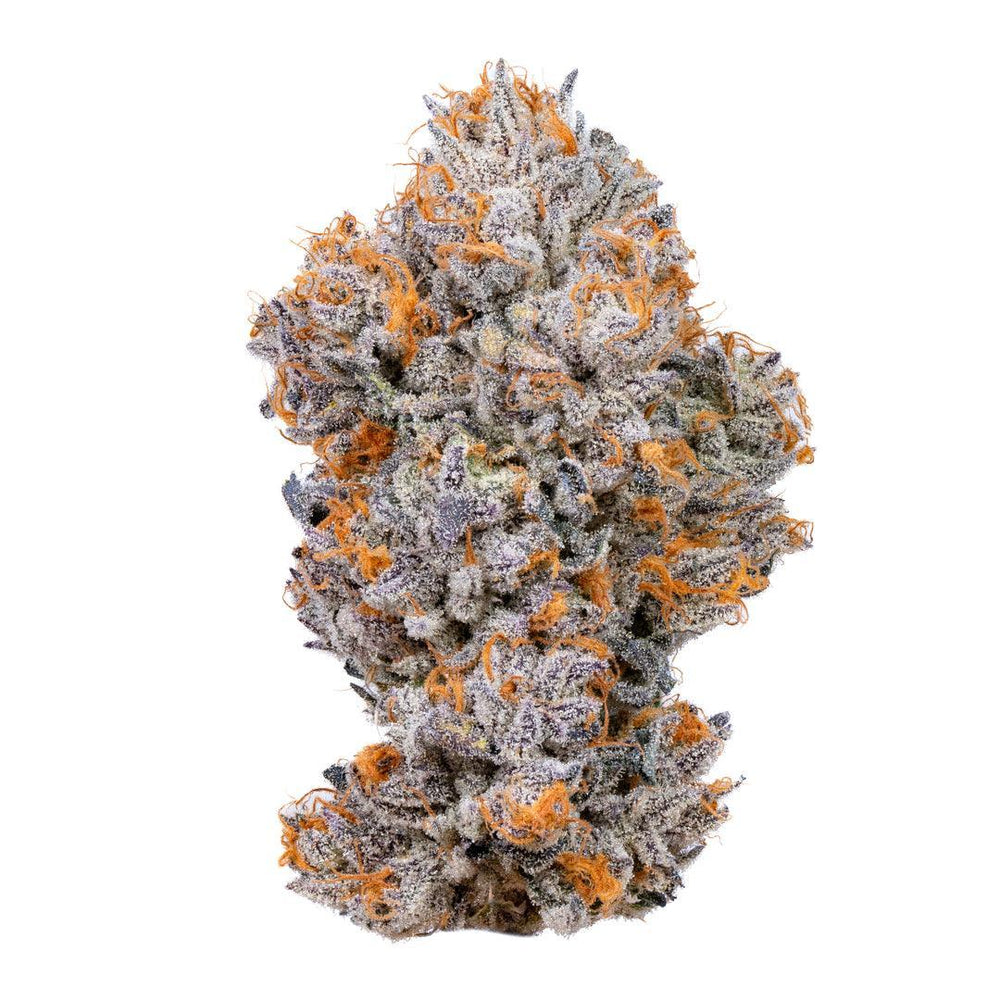 Connected Biscotti Loose – 1 lb ( White Ash )