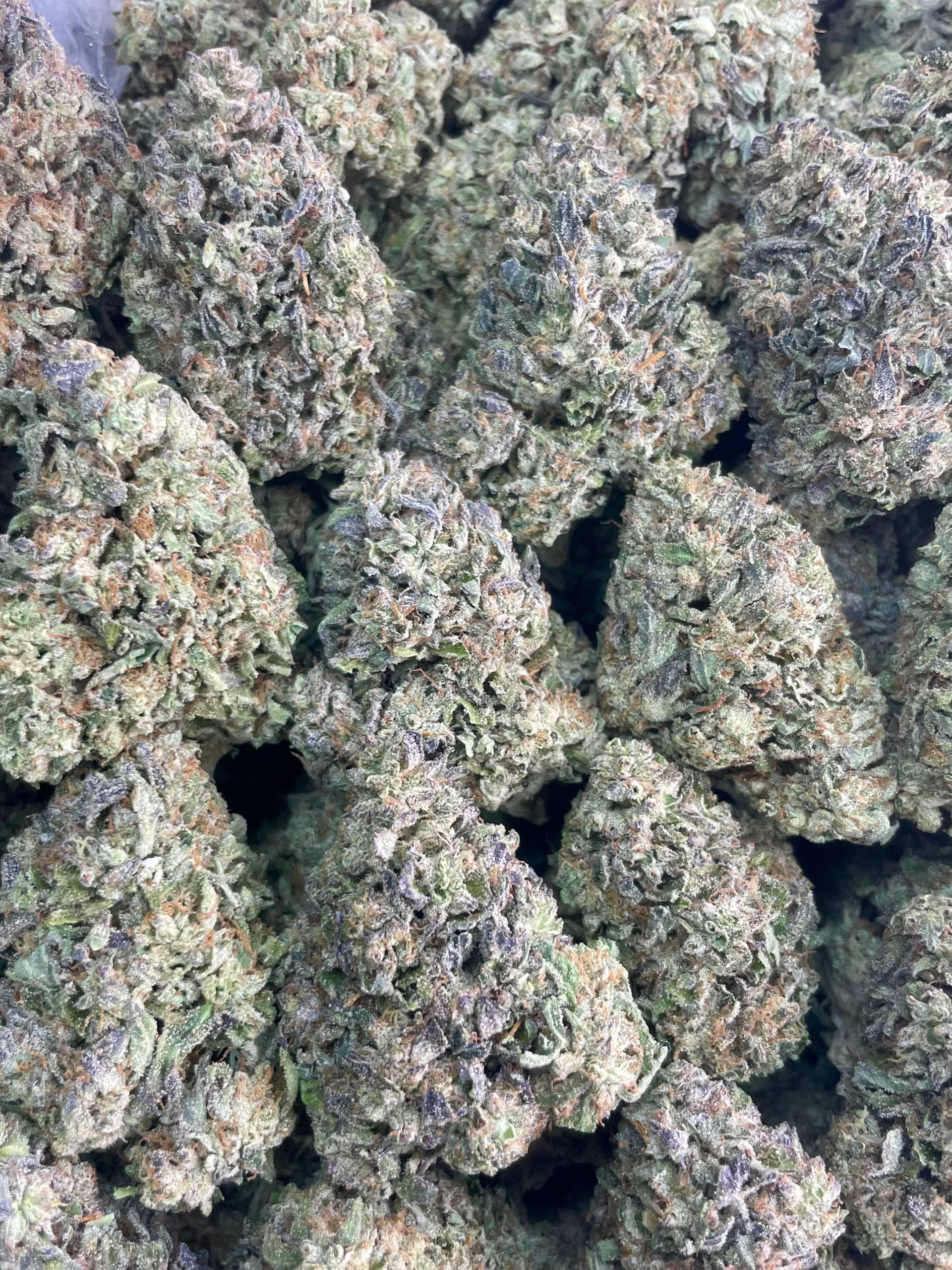 Queen Latifah – 1 lb