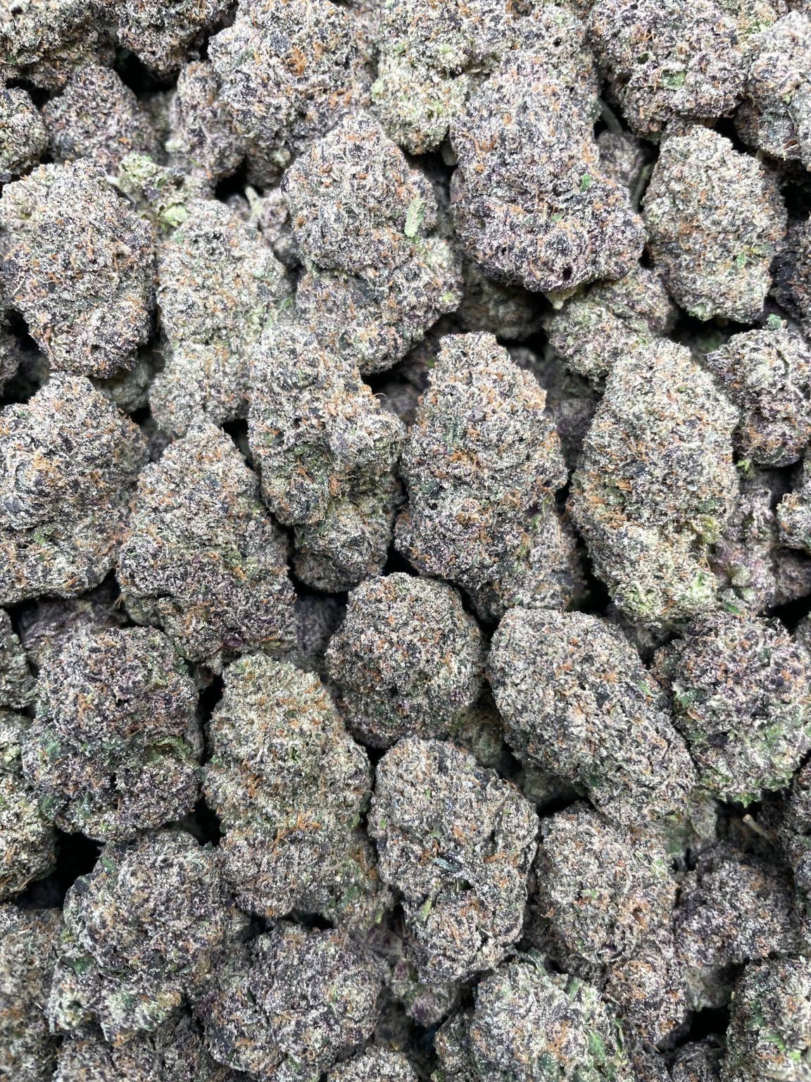 Blueberry Noir – 1 lb