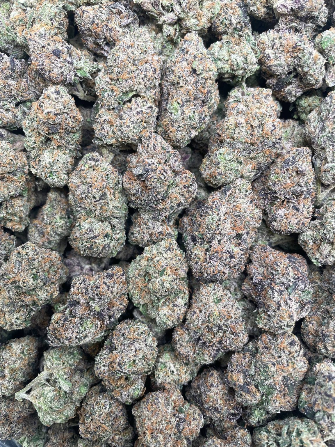 Blueberry Zlurpee – 1 lb