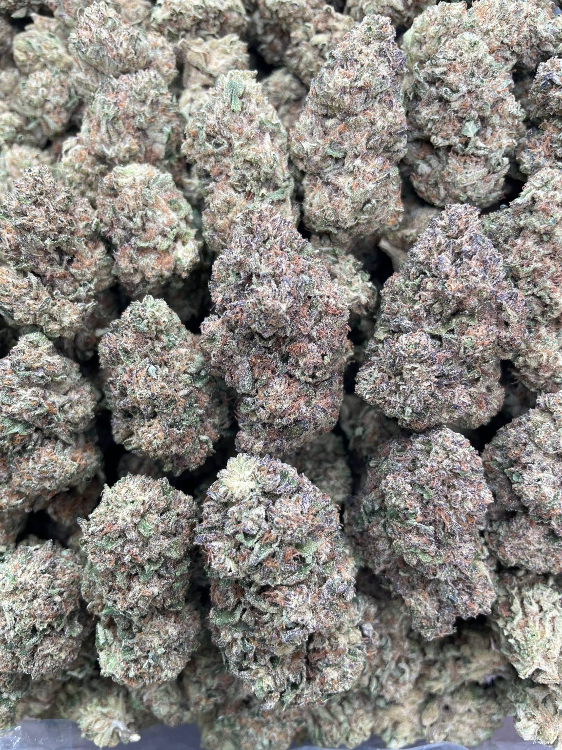 Sherbangerz – 1 lb