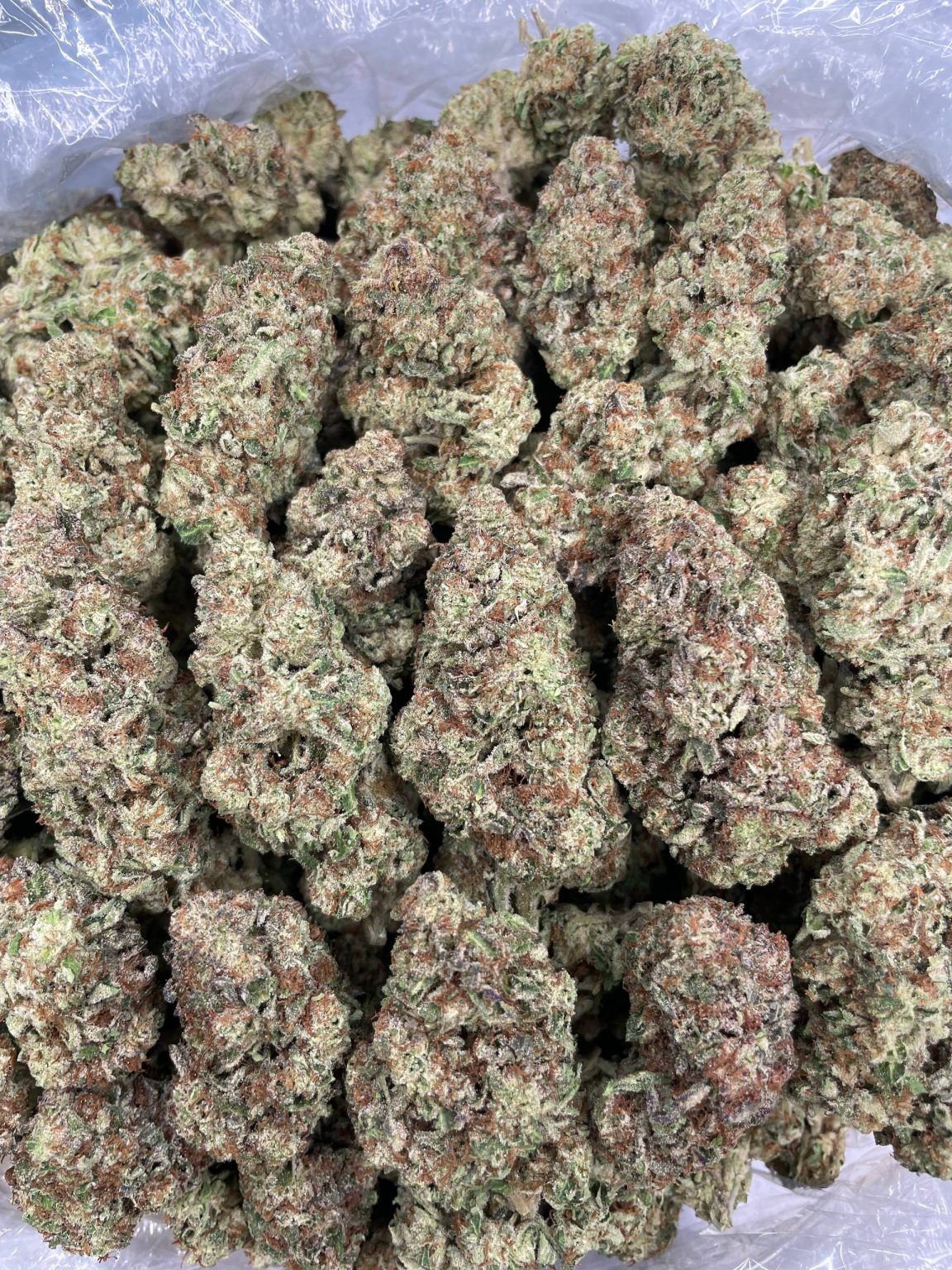 Tooty Fruity – 1 lb