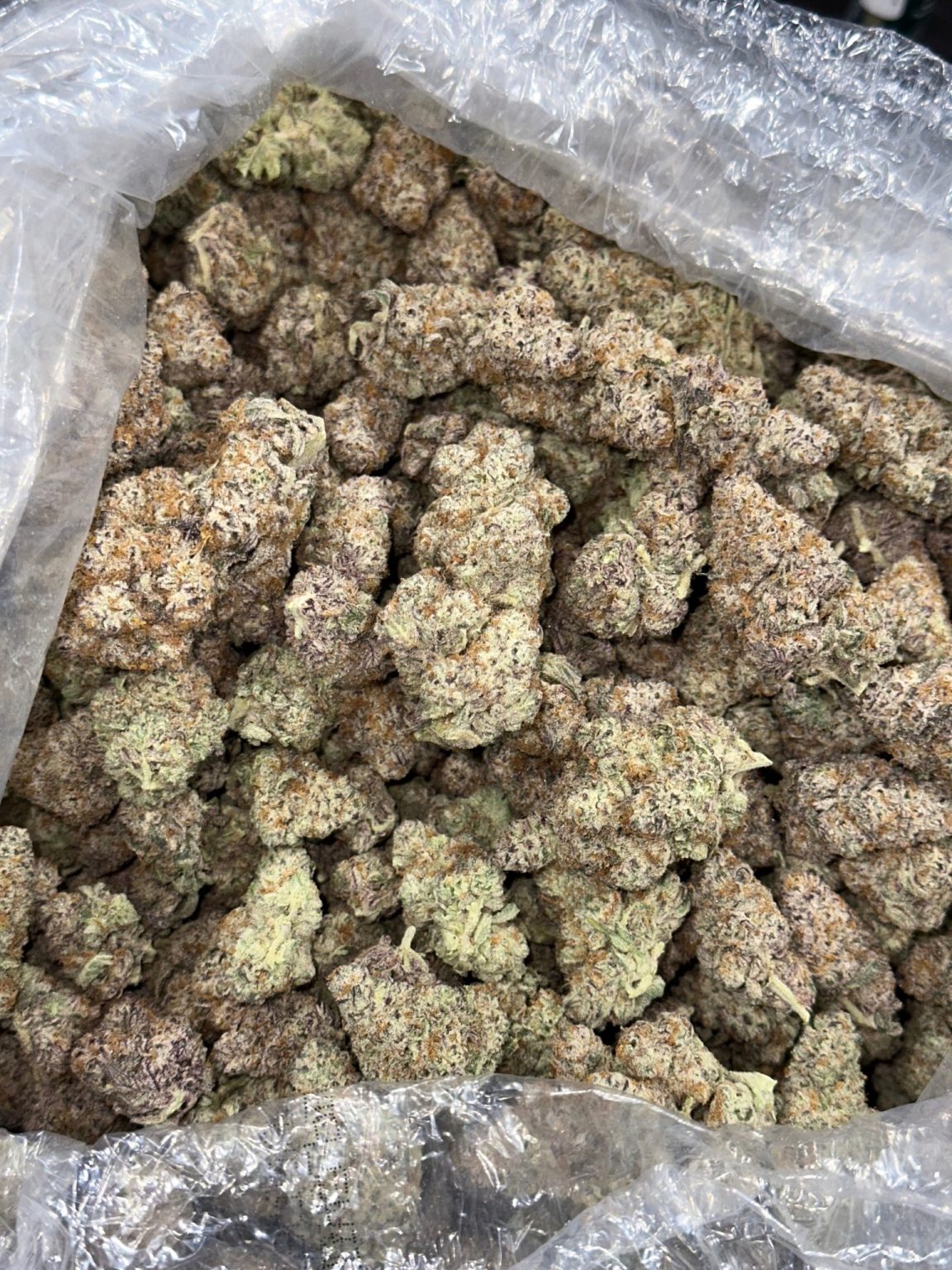 Tropicanna Cooler – 1 lb